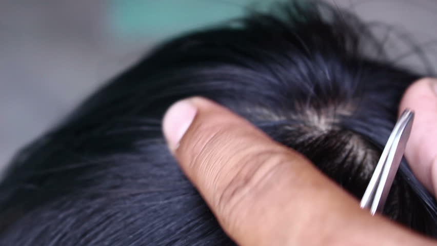Pluck Gray Hairs With Tweezers Stock Footage Video 100 Royalty