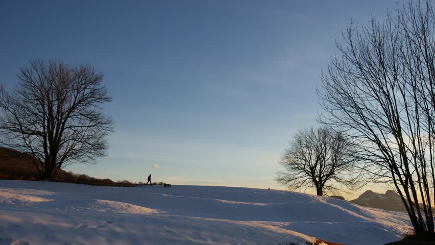 Header of vastity