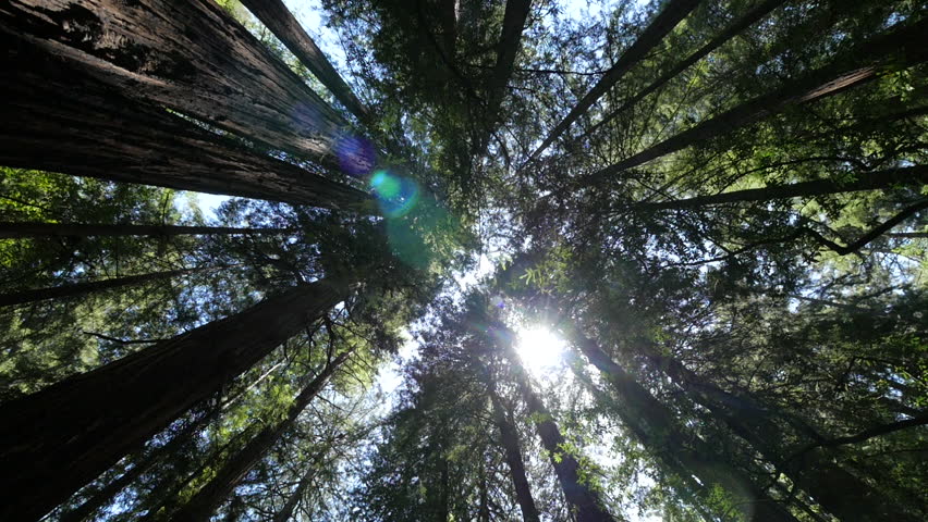 Header of angle
