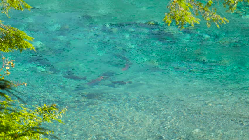 Crystal Clear Water In A Stock Footage Video 100 Royalty Free