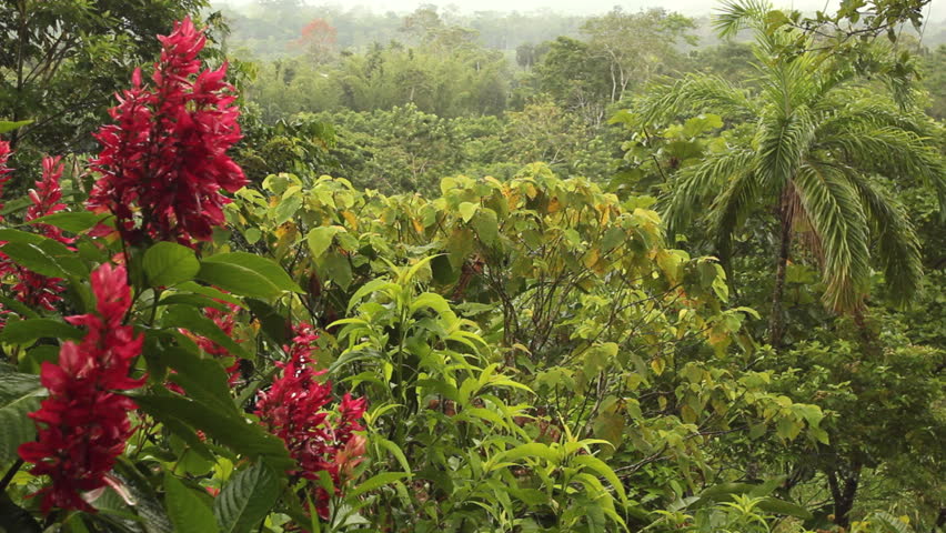 Header of lowland