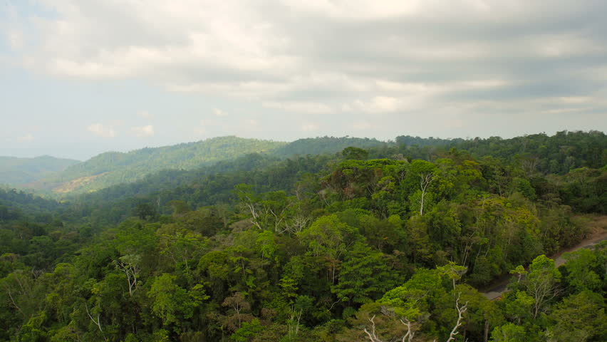 Lush Green Mountain Sides Of The Amazon Rain Forest 4 Stock Footage ...