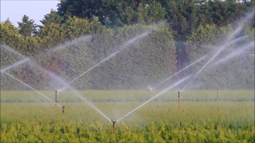 Rain Gun Irrigation System. Irrigation System Watering ...