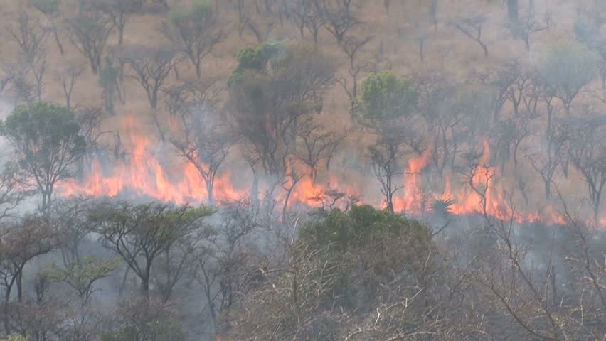 Natural Disasters In African Savanna Natural Disasters In African Savanna