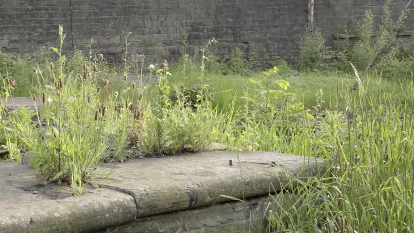 Header of overgrow