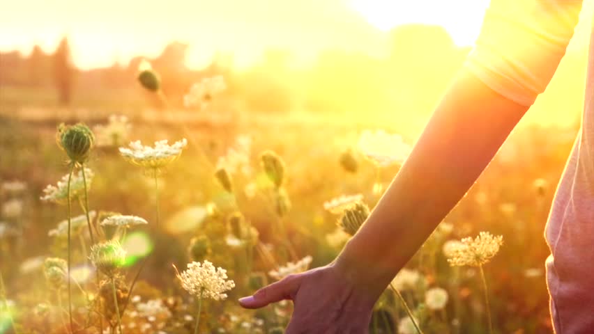  woman-walking-in-the-fields image - Free stock photo - Public Domain ...