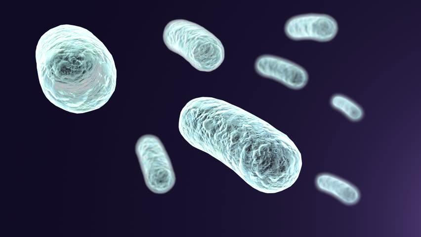 Header of legionella