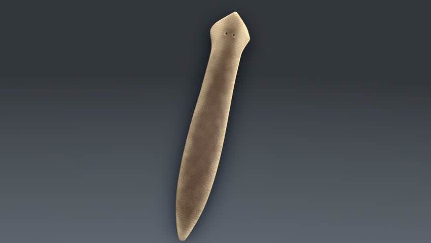 Header of planarian