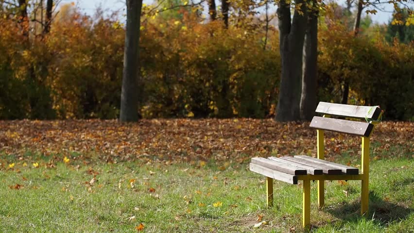 Empty Bench in the Autumn Stock Footage Video (100% Royalty-free ...