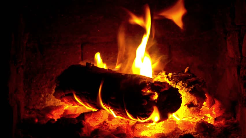 Burning Fire Wood In The Stock Footage Video 100 Royalty Free
