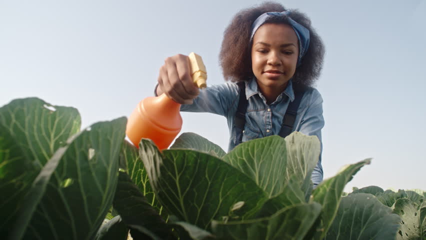 Header of foliar