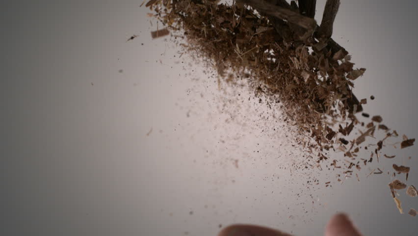Header of root