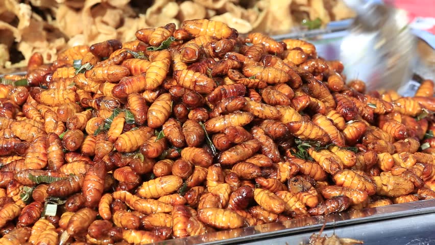 Thai Street Food Insect Close Up Edible Fried Silkworm Pupae, Water Bug ...