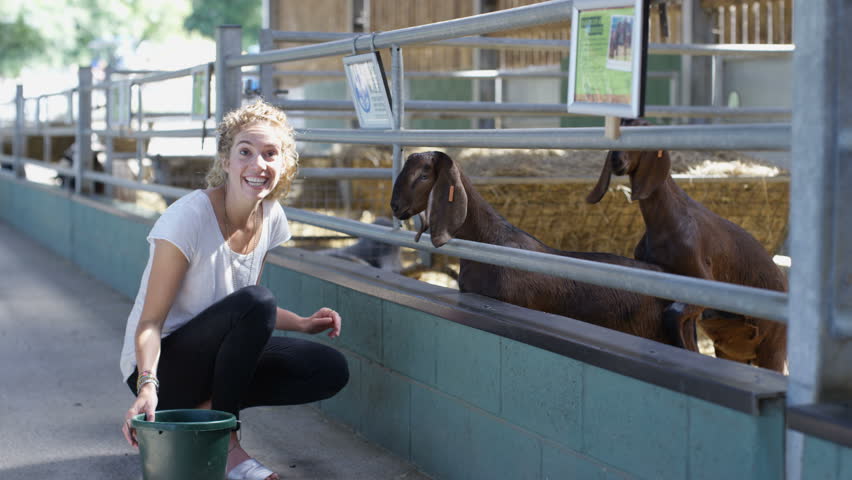 Farm community. Швейная ферма Вумен Сити.