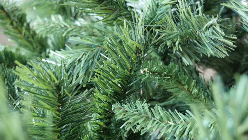 Close Up Of Realistic Decorative Spruce Stock Footage Video 100