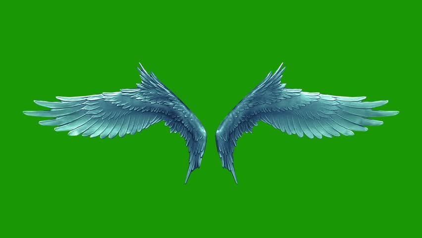 Pair Of Bird / Angel Wings Flapping On A Green Screen For Chroma Key ...