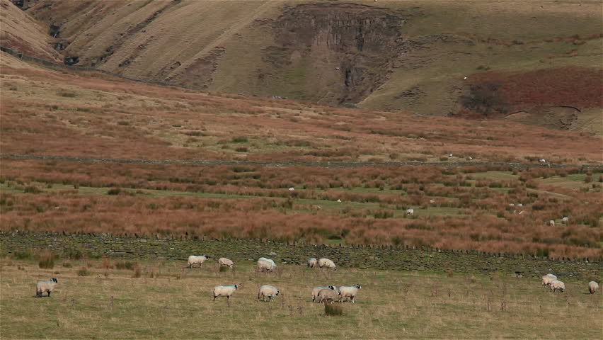 Header of Lancashire