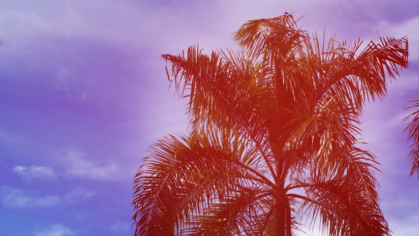 Header of krone
