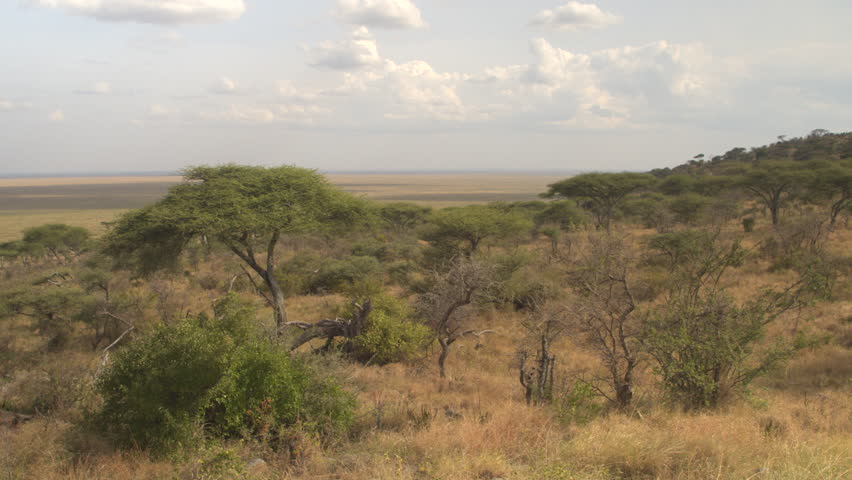 AERIAL: Flying High Above Stunning African Wilderness, Endless Savannah ...