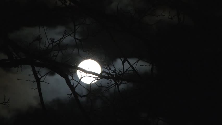 Image result for wind night time