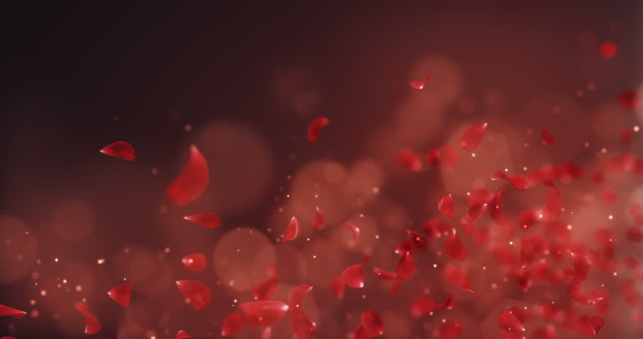 Image Result For Wedding Anniversary Kiss Image Result For Wedding Anniversary Kiss