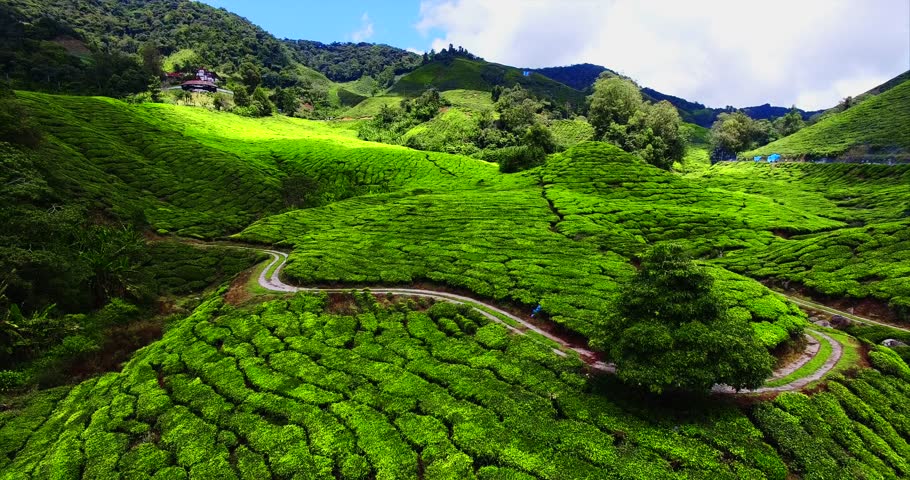 Landscape, hills and farms in Malaysia image - Free stock photo ...