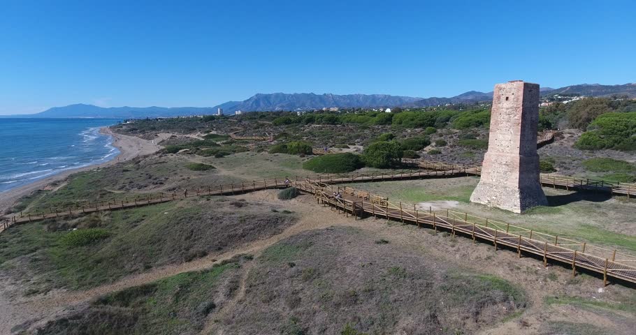 Cabo pino