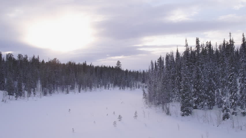 Blowing Winds Swirl Snow Downhill Through Treetops. 1920x1080 Stock ...