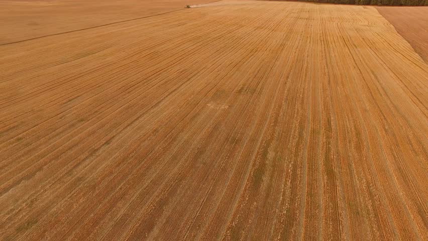 Wheat Field Aerial View Combine Stock Footage Video 100