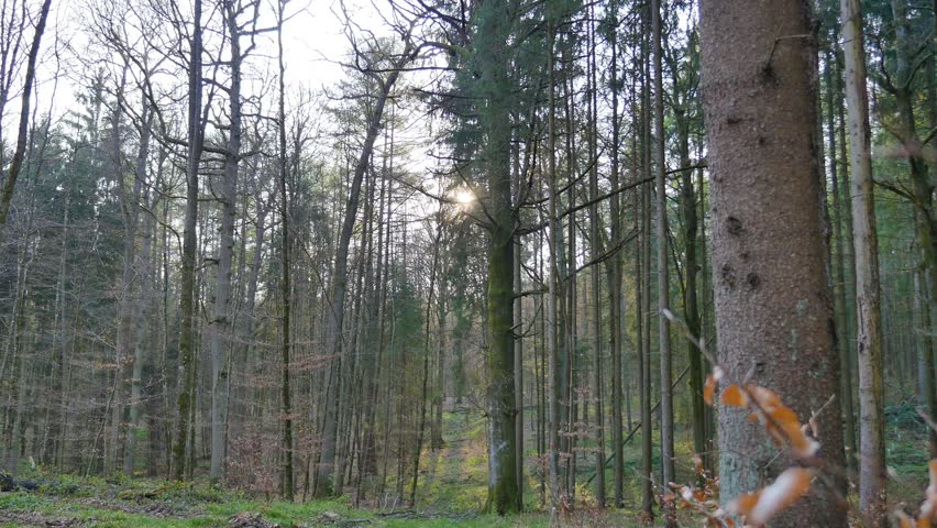 Header of copse