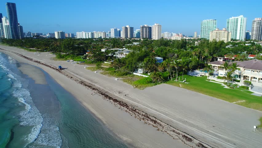 Header of beachcomber