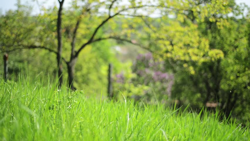 Download Nature Images Hd Village