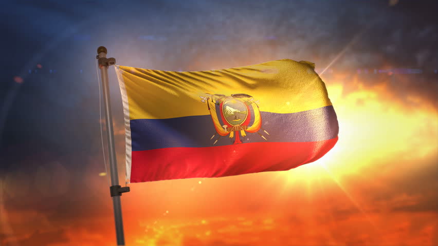 Brunei Flag Waving In The Wind Detailed Fabric Texture Seamless 