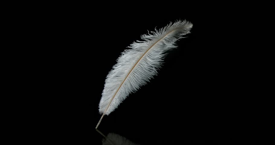 Перья на ветру. Falling feathers. Ангельские перья падают с неба. Перья. Фон перья акварель.