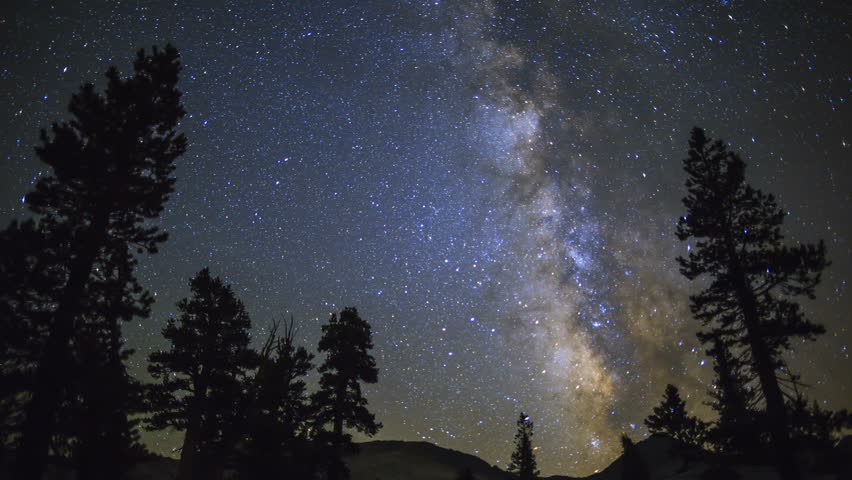 Amazing Milky Way Galaxy Passes Over Night Sky Forest, Leading To ...