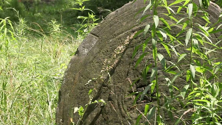 Header of gristle
