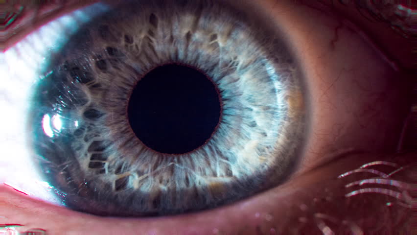 Eye Pupil Focusing Contracting Focusing Stock Footage Video (100%