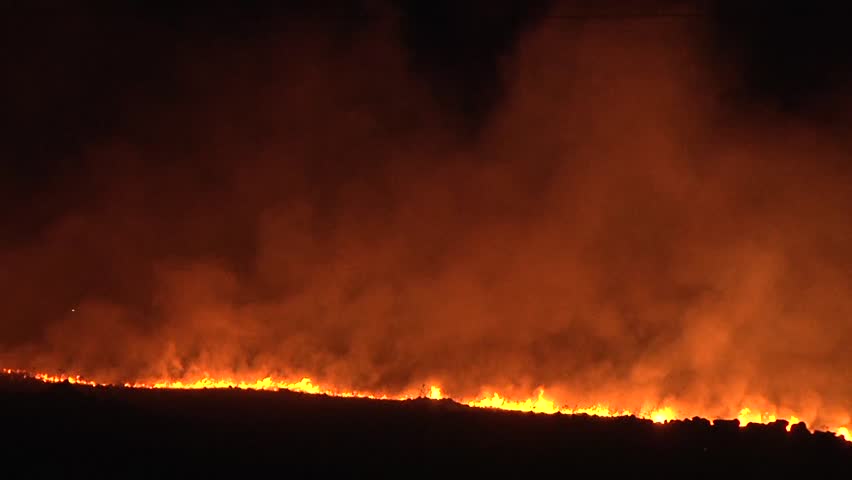 Header of wildfire