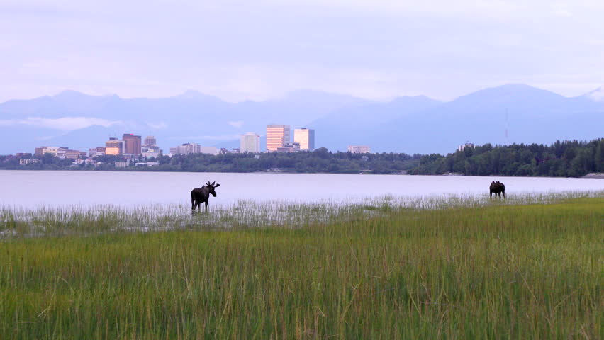 Header of inlet