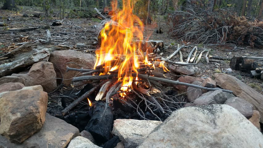 Burning Forest Wood In Fire Pit Made Of Large Rocks