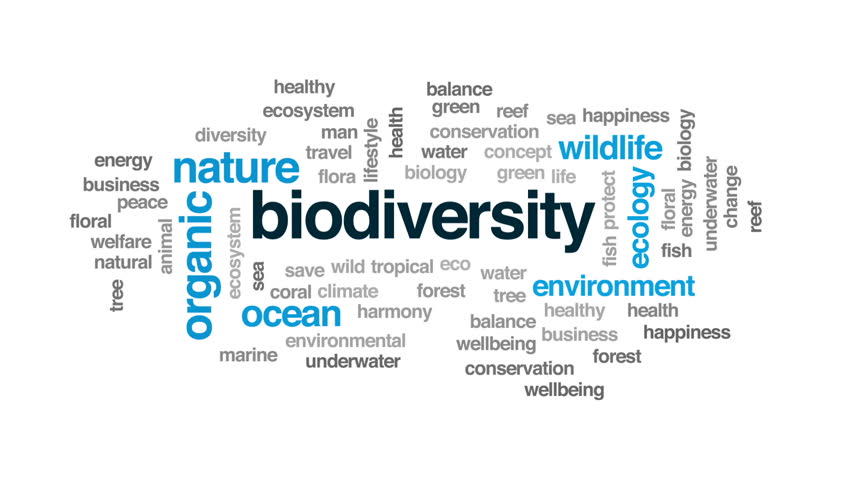 biodiversity-animated-word-cloud-text-stock-footage-video-100