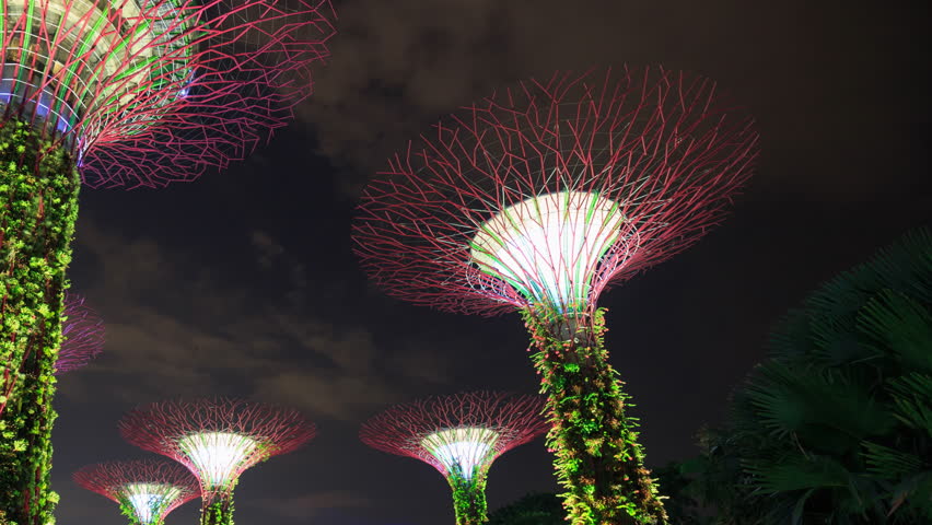 Garden By The Bay August 2017 garden city skyway stock footage video | shutterstock Garden By The Bay August 2017 garden city skyway stock footage video | shutterstock