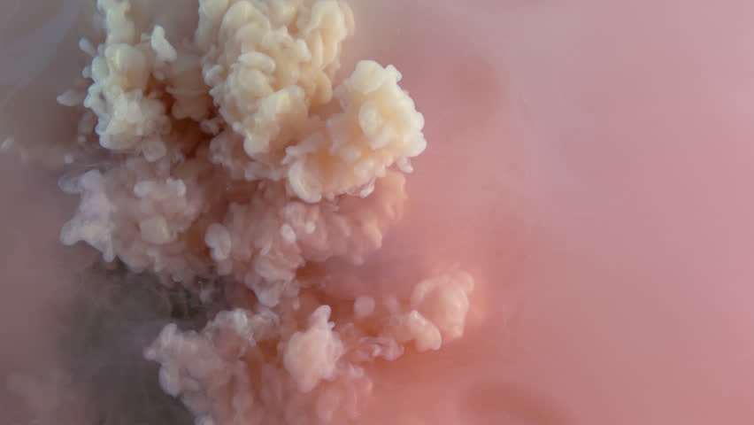 Header of softly