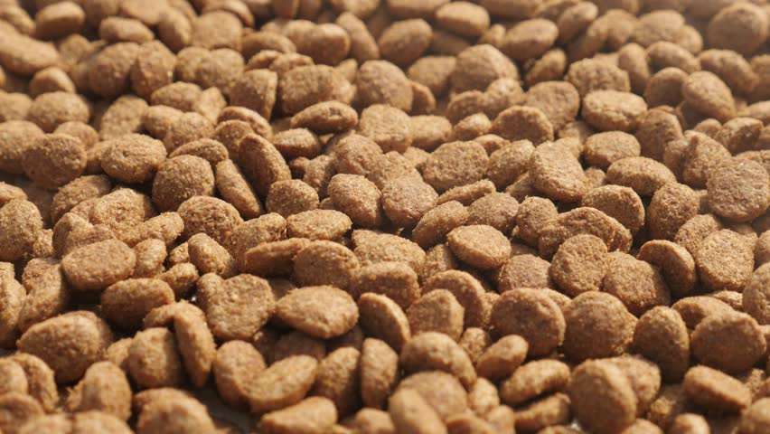 Pile Of Cat Or Dog Pellets Close-up 4K 2160p 30fps UltraHD Tilting ...