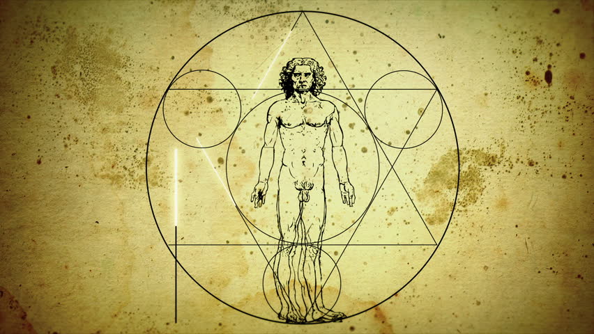 vitruvian man lab report vitruvian man lab report