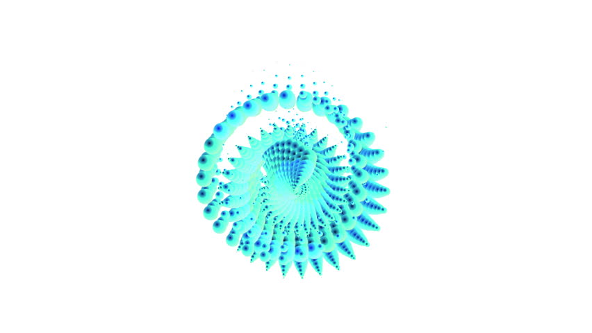animated seashell