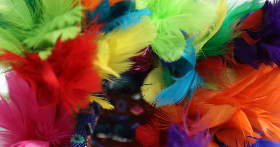 Multi Color Bird Feathers Stock Footage Video (100% Royalty-free ...