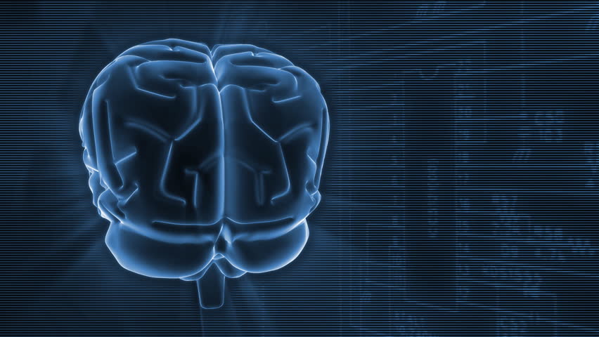 3D Rotating Brain HD Stock Footage Video 1816979 | Shutterstock