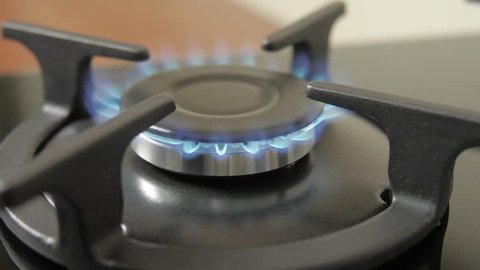 Natural gas inflammation in stove burner, close up view.
gas burning from a kitchen gas stove
