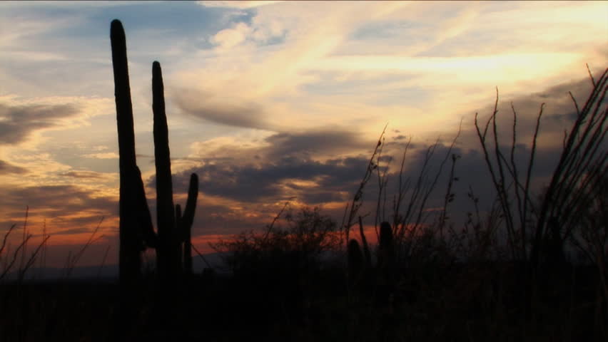 Twilight Sunset Nature Landscape Tucson Az Desert Wilderness 1080 Twilight Sunset Nature Landscape Tucson Az Desert Wilderness Environment Cactus Colorful Dusk Clouds Saguaro National Monument Spring